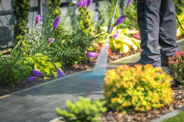 Best Sidewalk and Walkway Cleaning  in Wellsville, UT