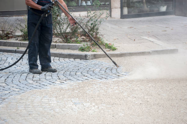 Best Spring Cleaning  in Wellsville, UT