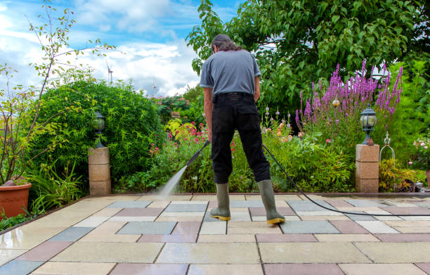 Best Driveway Pressure Washing  in Wellsville, UT